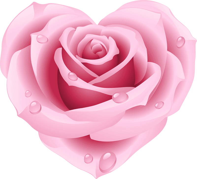 Pink Rose Clipart Free, HD Png Download - Transparent PNG Free Download | PNGio