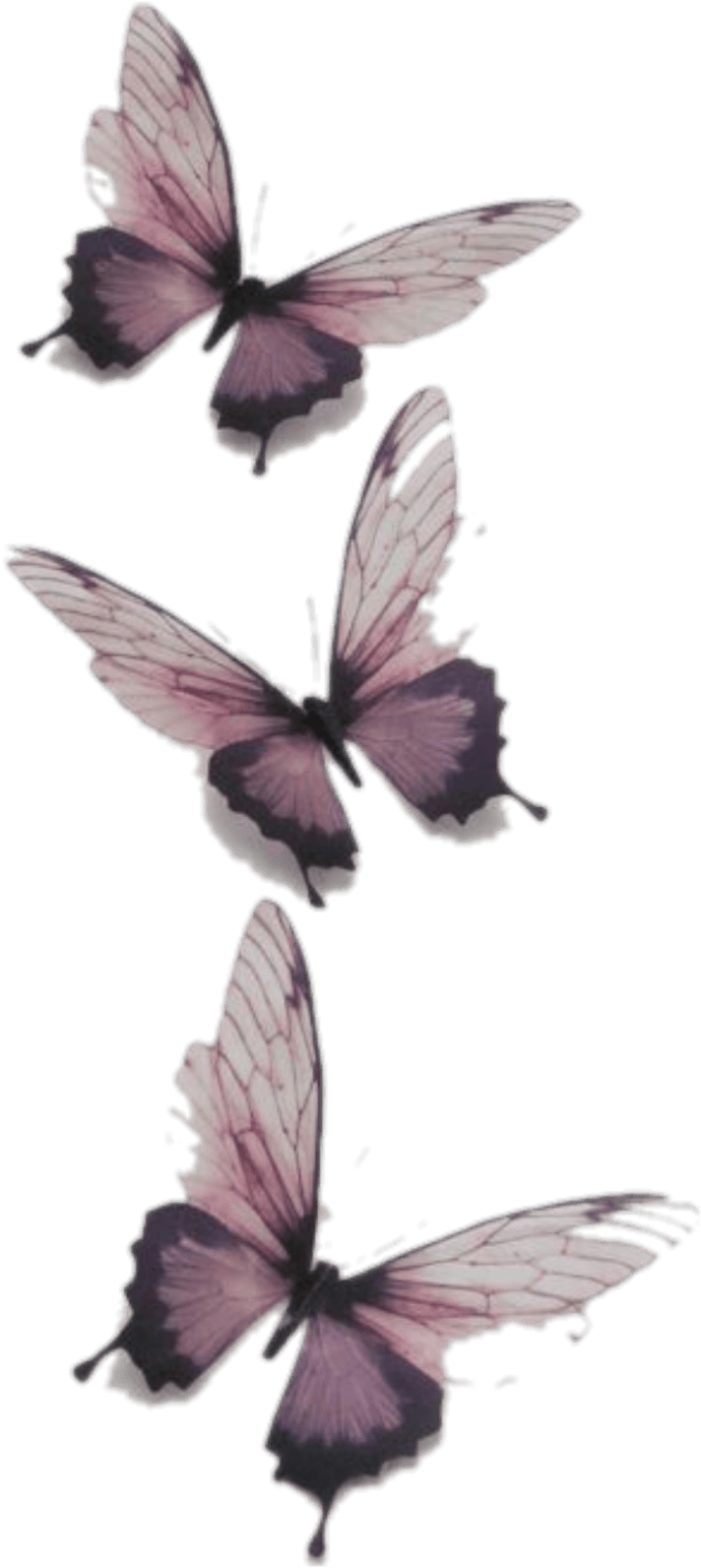 Butterfly Butterflies Vintage Transparent Tumblr Png - Transparent Butterfly, Png Download - Transparent PNG Free Download | PNGio