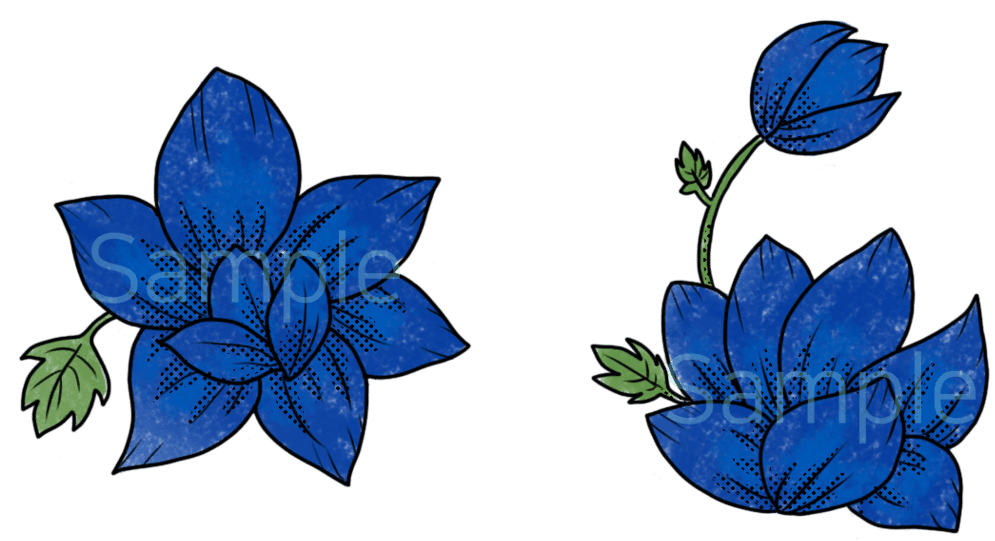 Gentiana, HD Png Download - Transparent PNG Free Download | PNGio