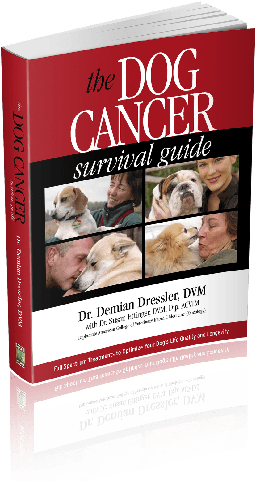 Dog Cancer Survival Guide, HD Png Download - Transparent PNG Free Download | PNGio