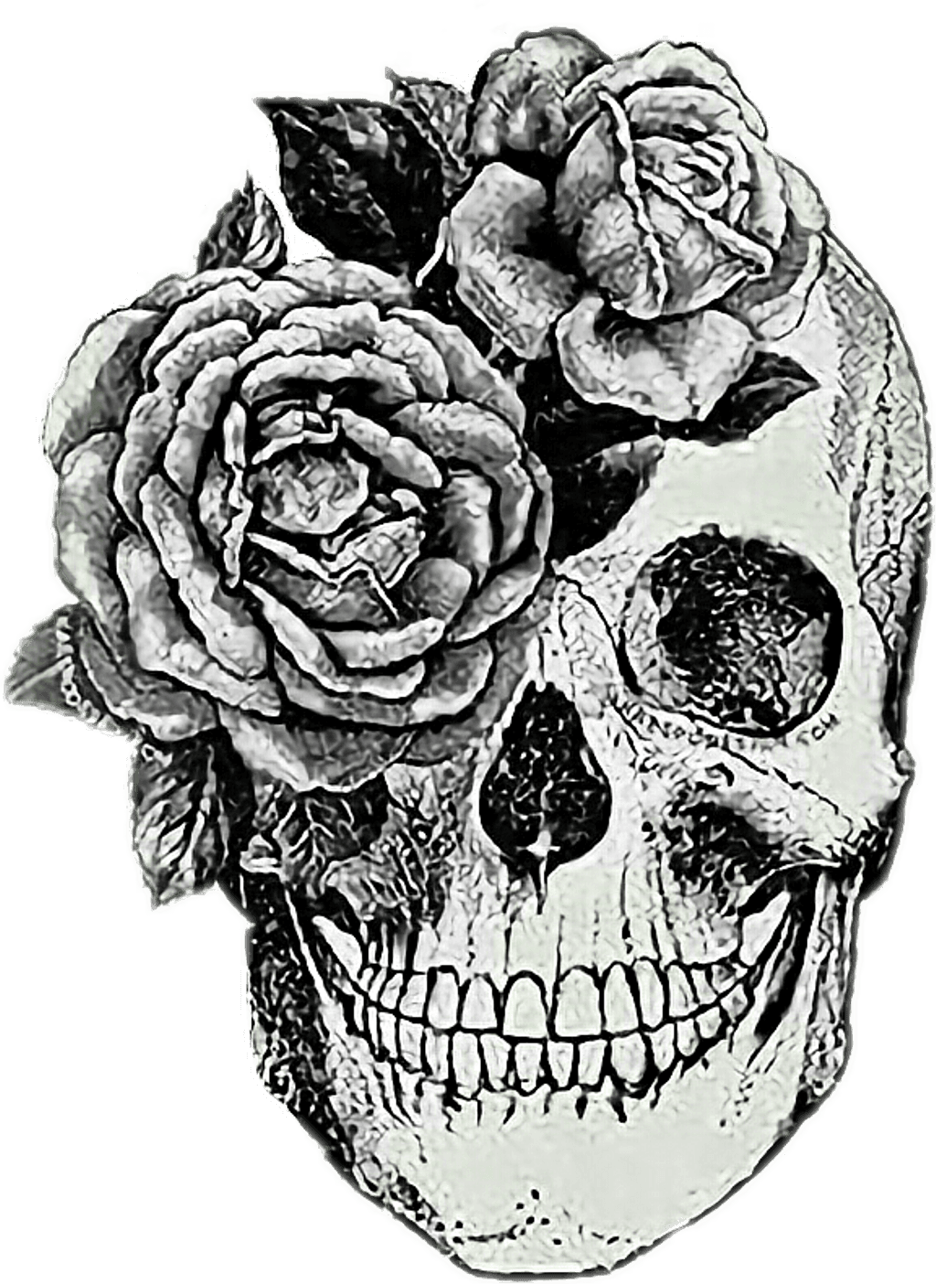 Anatomical Skull Tattoo , Png Download, Transparent - Transparent PNG Free Download | PNGio