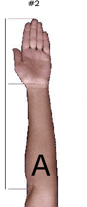 Should Forearm Tattoos Be Oriented, HD Png Download - Transparent PNG Free Download | PNGio