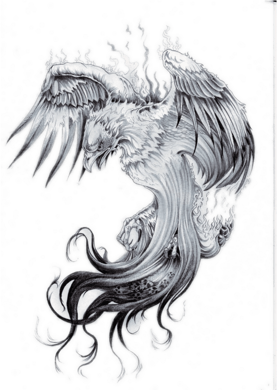 Transparent Chest Tattoo Png - Realistic Phoenix Tattoo Designs, Png Download - Transparent PNG Free Download | PNGio