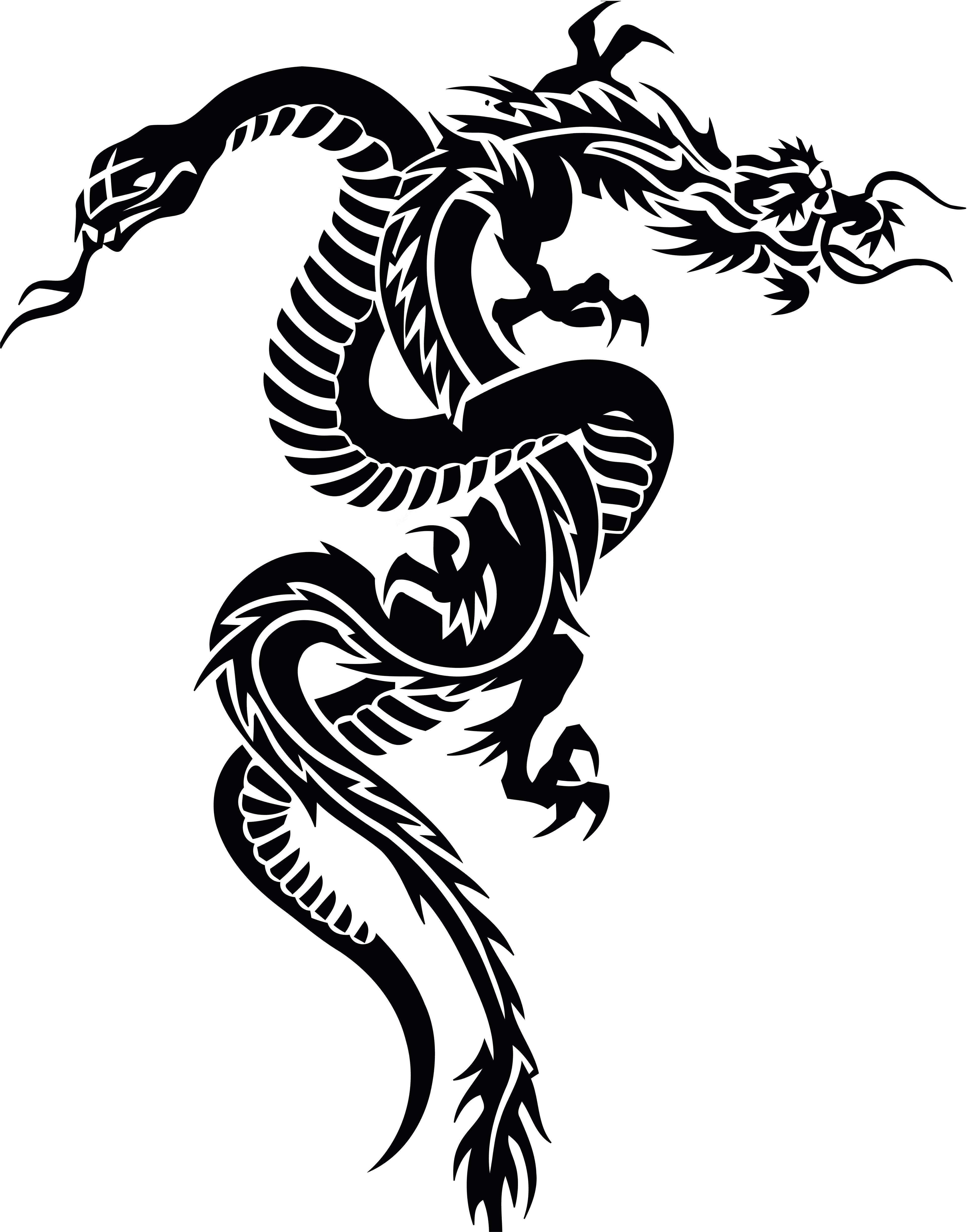 Snake And Dragon Tribal Tattoo Clipart And Design - Snake And Dragon Tattoo, HD Png Download - Transparent PNG Free Download | PNGio
