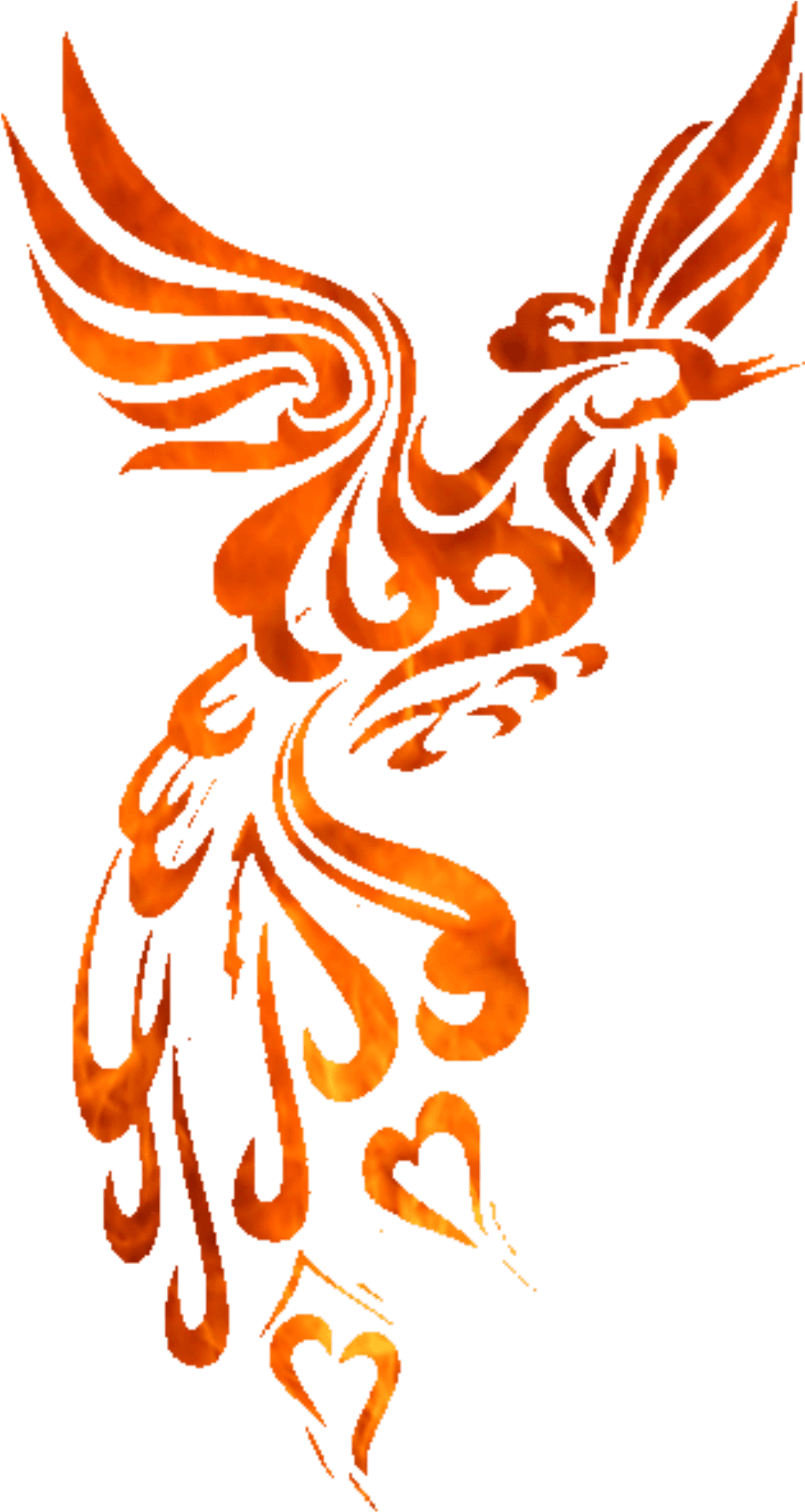 Phoenix Bird Tattoos - Phoenix Tattoo Designs, HD Png Download - Transparent PNG Free Download | PNGio