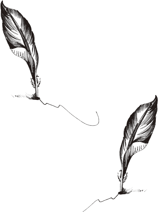 Peacock Feather Tattoos Png, Transparent - Transparent PNG Free Download | PNGio