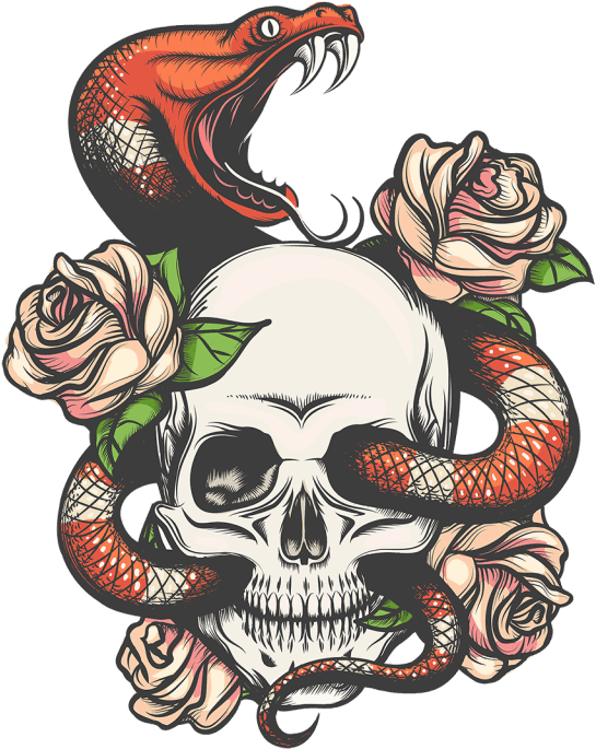 Colored Snake Skull Tattoo, HD Png Download - Transparent PNG Free Download | PNGio