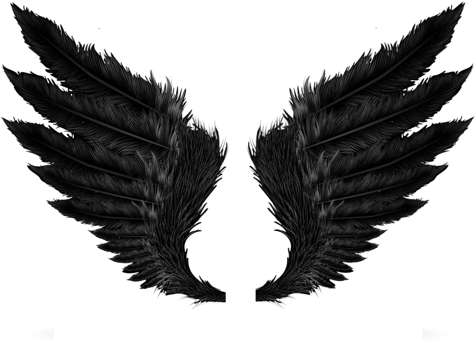 Wings Tattoos Png Transparent Wings Tattoospng Images - Wings Png, Png Download - Transparent PNG Free Download | PNGio