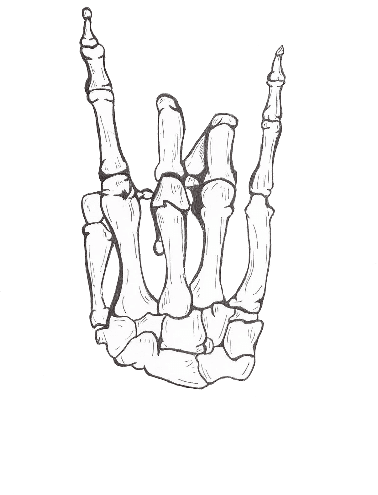 Transparent Hand Tattoo Png - Hang Loose Skeleton Hand, Png Download - Transparent PNG Free Download | PNGio