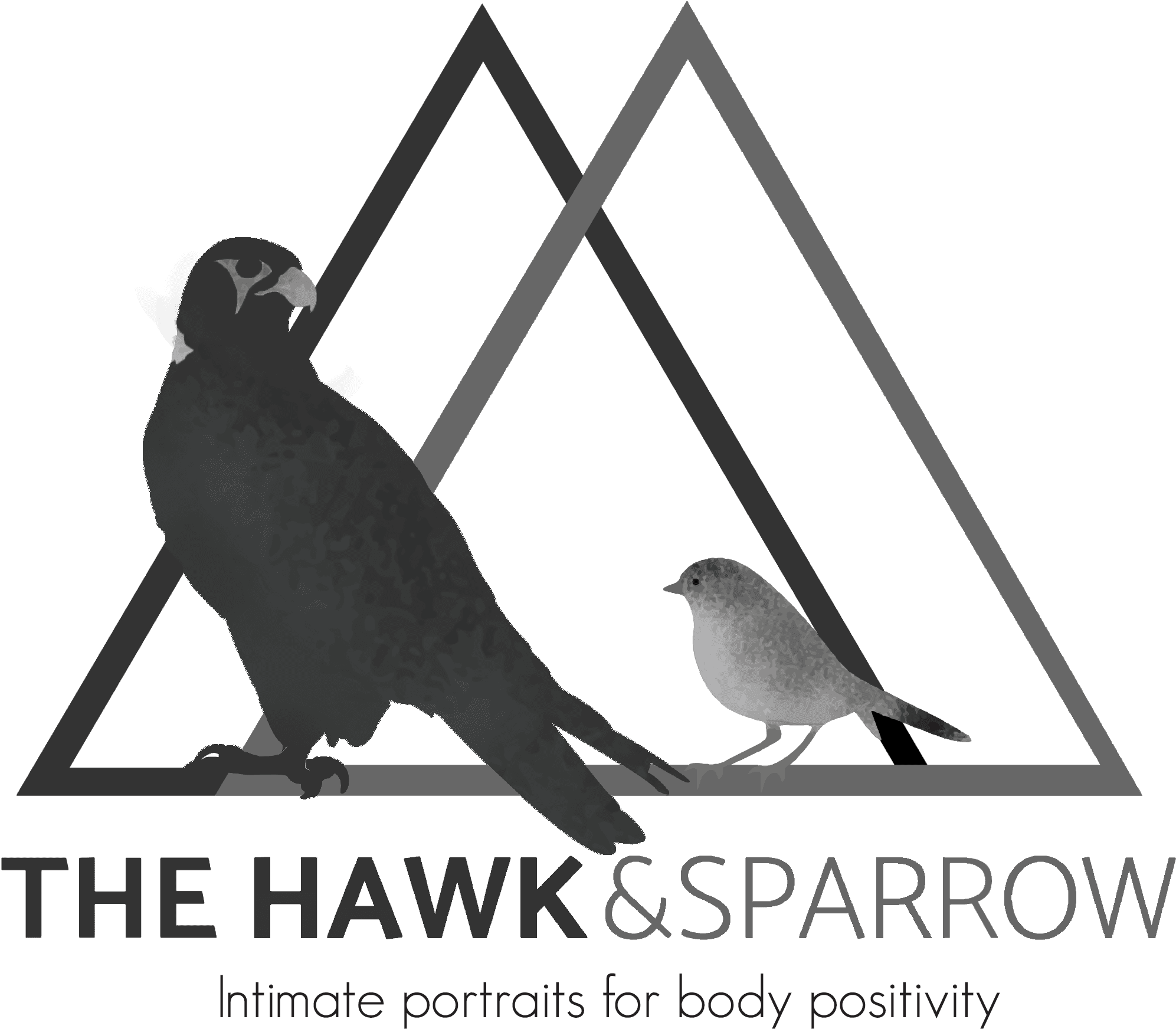 Instagram, HD Png Download - Transparent PNG Free Download | PNGio