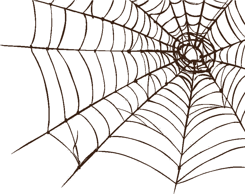 Roda Dos 7 Niveis Do Processo Evolutivo, HD Png Download - Transparent PNG Free Download | PNGio