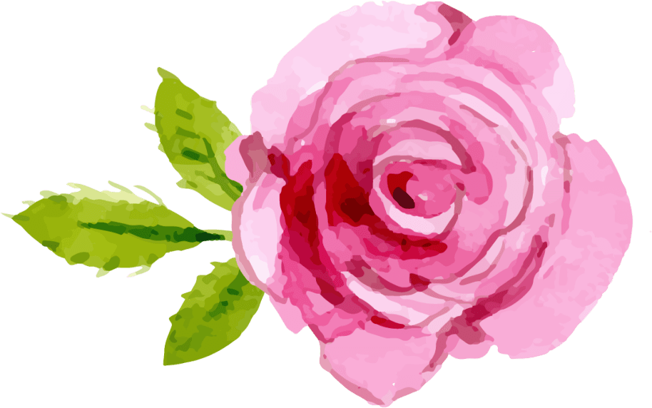 #pink #rose #tattoo - Watercolor Pink Roses Clipart, HD Png Download - Transparent PNG Free Download | PNGio
