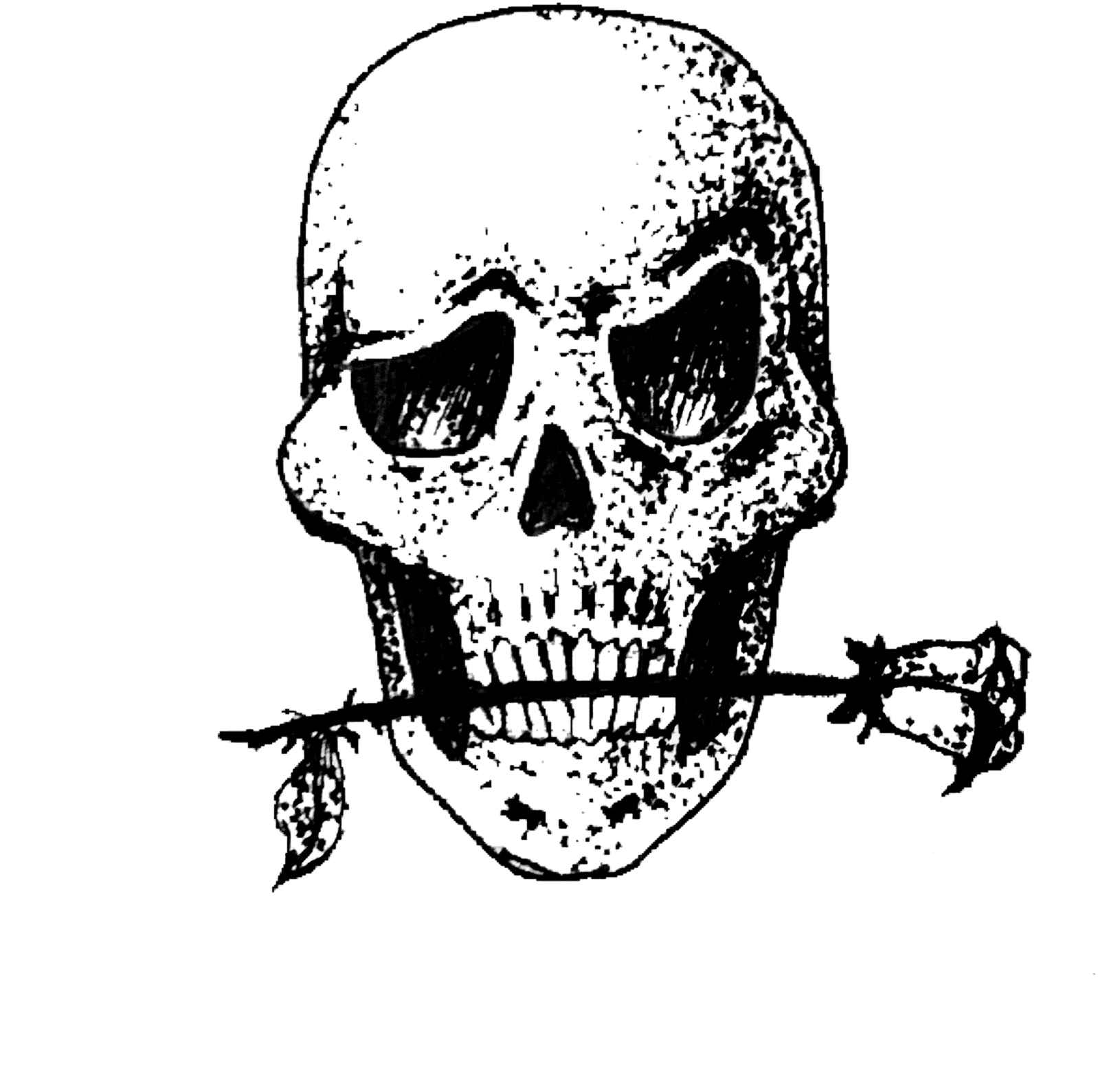 #skull #tattoo #skeleton #tatuagem #caveira #freetoedit - Skull, HD Png Download - Transparent PNG Free Download | PNGio