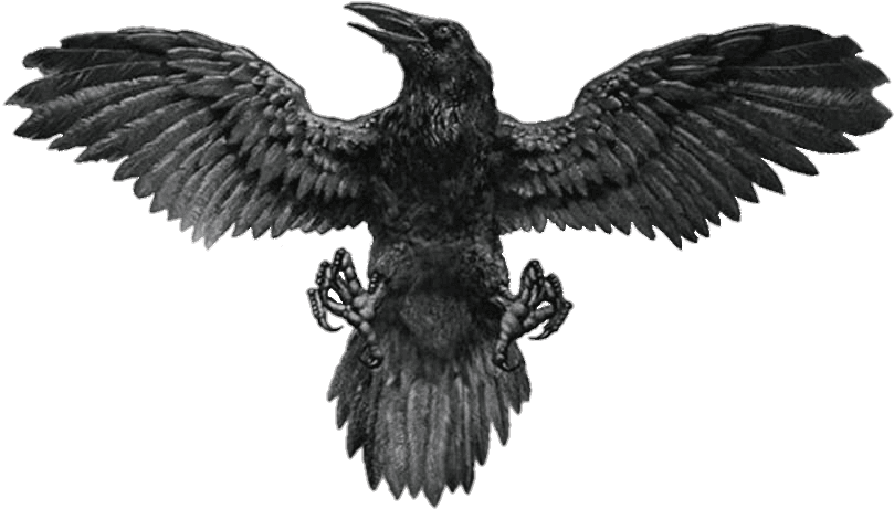 #tattoo #raven # Tattoos #tattos #tattooart #tattooed - Man Back Bird Tattoo, HD Png Download - Transparent PNG Free Download | PNGio