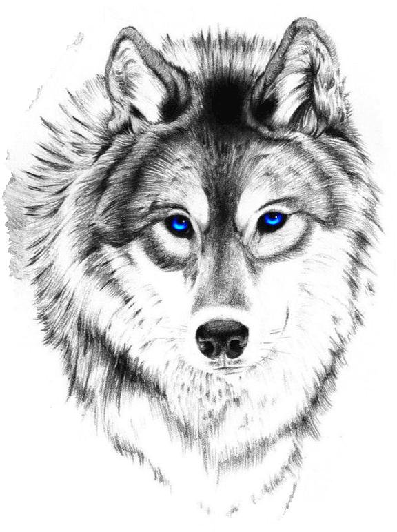 Wolf And Moon Tattoo, Wolf Face Tattoo, Wolf Tattoo - Blue Eyed Wolf Tattoo, HD Png Download - Transparent PNG Free Download | PNGio