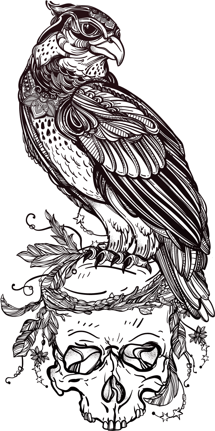 Tattoo Illustrator Skull Owl Of Material Bird Clipart - Bird Tattoo Outline Designs, HD Png Download - Transparent PNG Free Download | PNGio