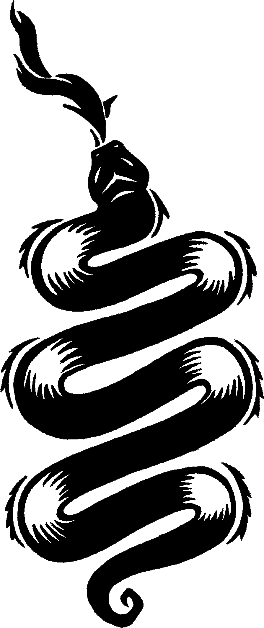 Snake Tattoo Png - Cole Macgrath Tattoos, Transparent - Transparent PNG Free Download | PNGio