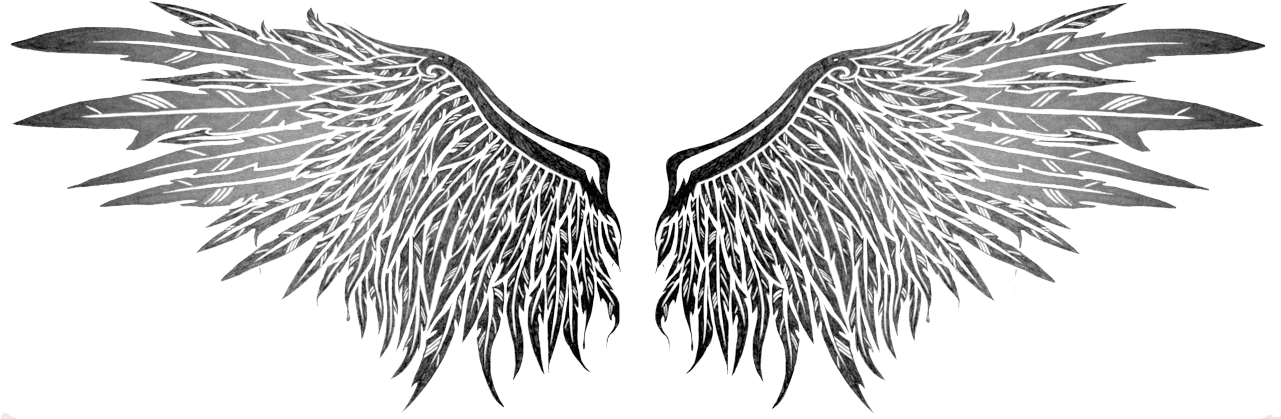Angel Wings Png Transparent Angel Wings Tattoo Png- - Transparent Wing Tattoo Png, Png Download - Transparent PNG Free Download | PNGio