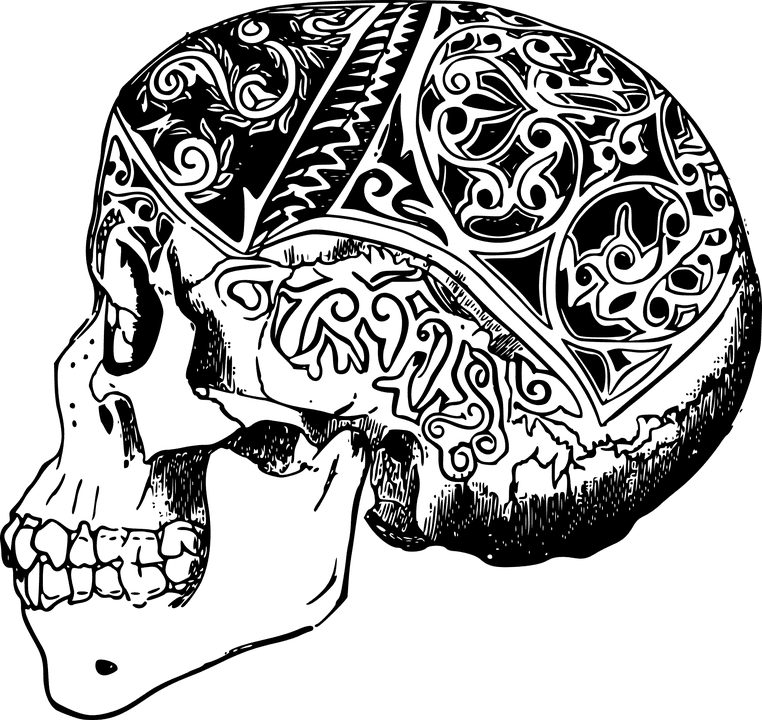 Borneo Skull Tattoo - Tattoo Png, Transparent - Transparent PNG Free Download | PNGio