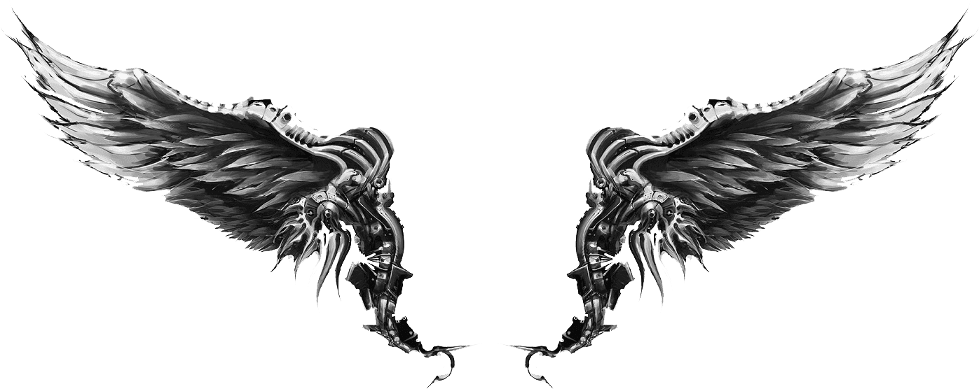 20 Angel Wings Tattoo Png For Free Download On Ya Webdesign, Transparent - Transparent PNG Free Download | PNGio
