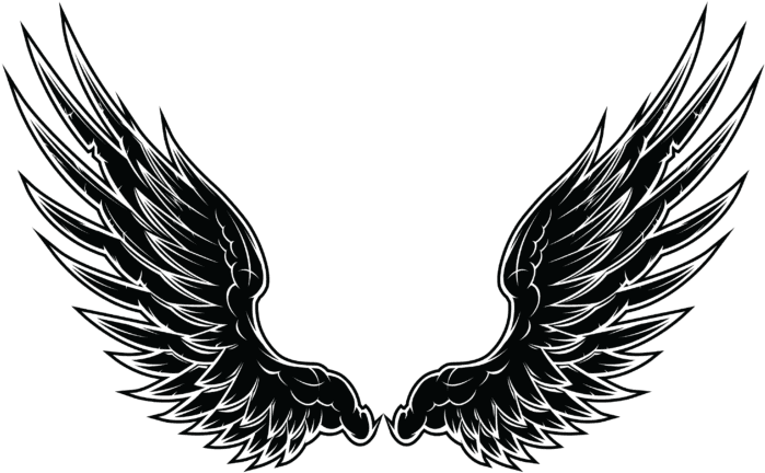 Wings Tattoo Png Image Free Download Searchpng, Transparent - Transparent PNG Free Download | PNGio