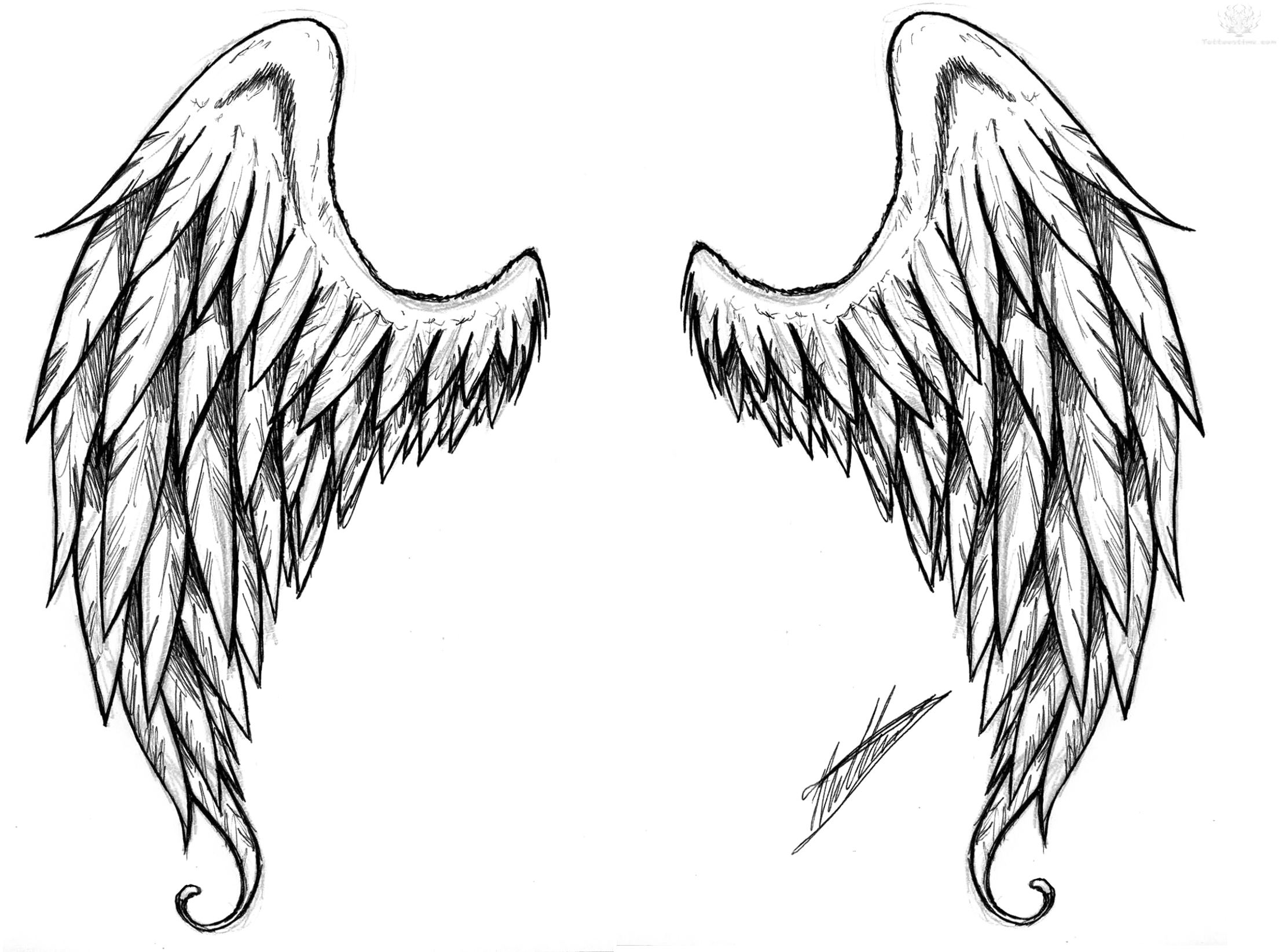 Wings Tattoo Png Free Download, Transparent - Transparent PNG Free Download | PNGio