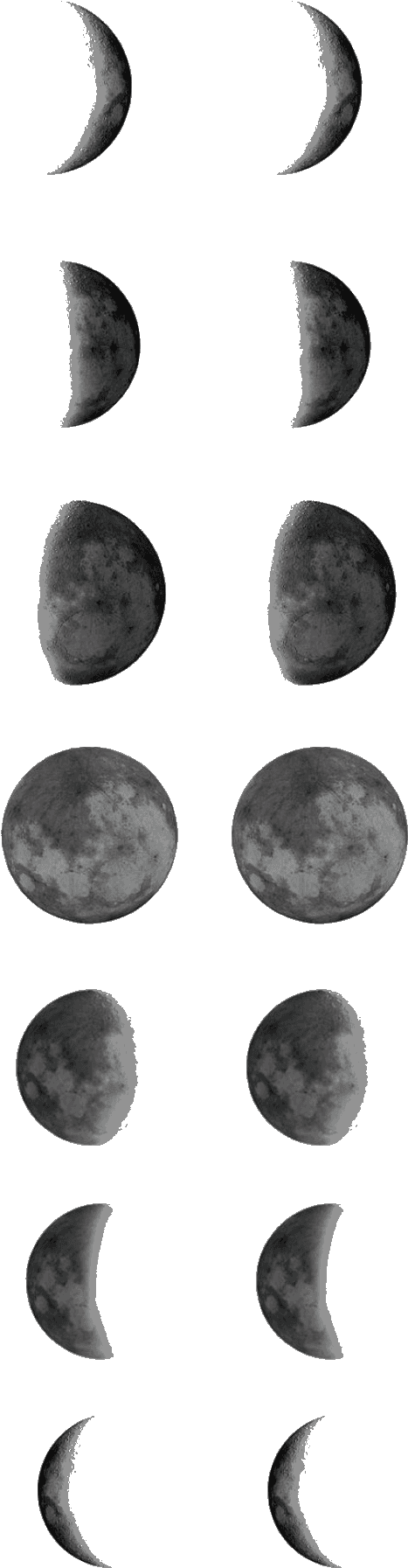 Temporary Tattoo Moon Phases Moon Phase Tattoo Template - Moon Phase Tattoo Outline, HD Png Download - Transparent PNG Free Download | PNGio
