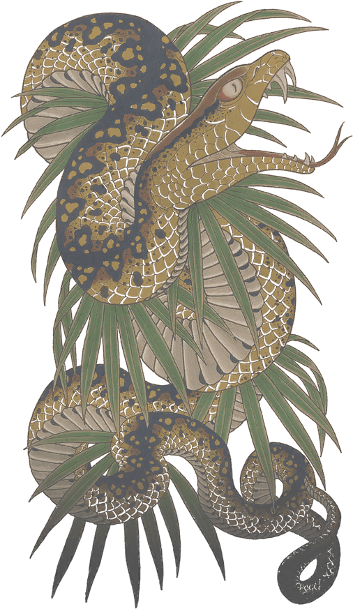 C Am Rikiya Tatoo Di - Rikiya Tattoo Yakuza 3 Before And After, HD Png Download - Transparent PNG Free Download | PNGio