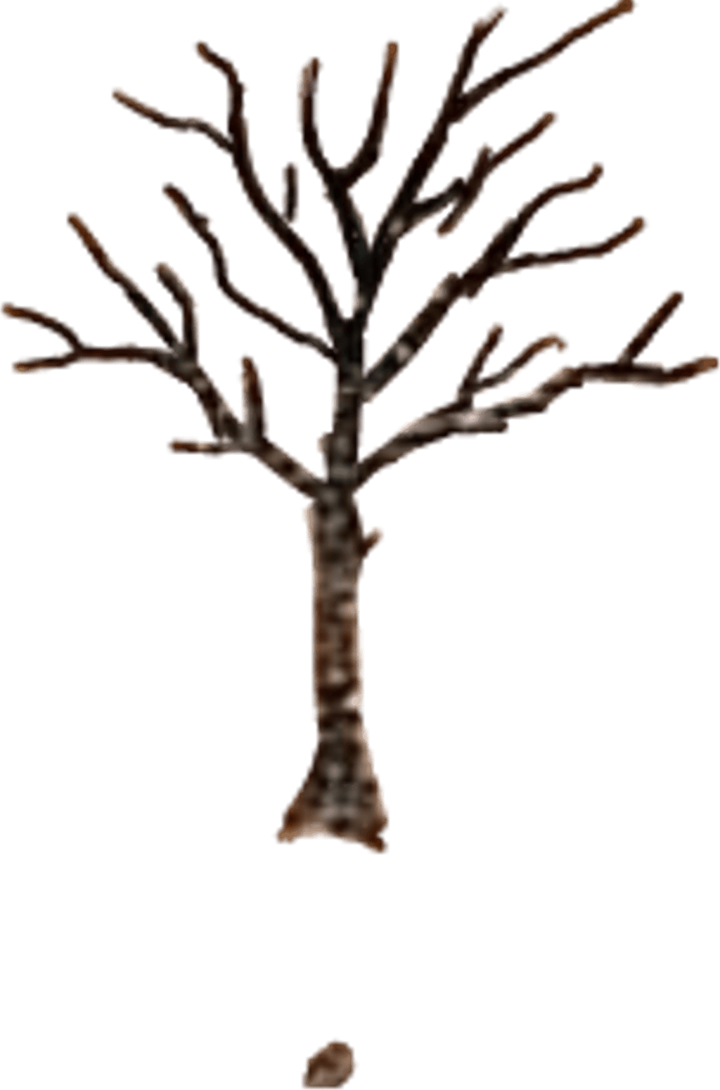 #rip #xxxtentacion #tattoo #xxxtentaction #treeoflife - Xxxtentacion Tree Tattoo Png, Transparent - Transparent PNG Free Download | PNGio
