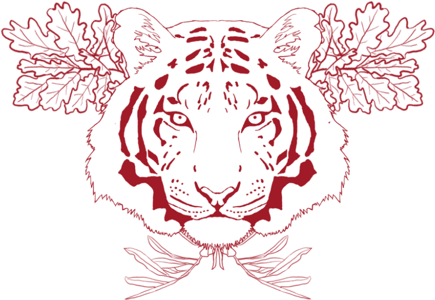 Download Chest Tattoo Png Free Download For Designing - Chest Tattoo Png, Transparent - Transparent PNG Free Download | PNGio