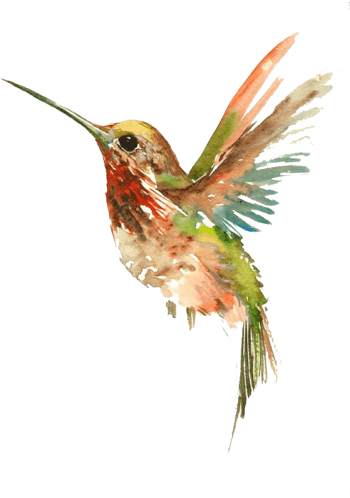 Tattoo Flying Watercolor Painting Bird Hummingbird - Cool Watercolor Hummingbird Tattoo, HD Png Download - Transparent PNG Free Download | PNGio