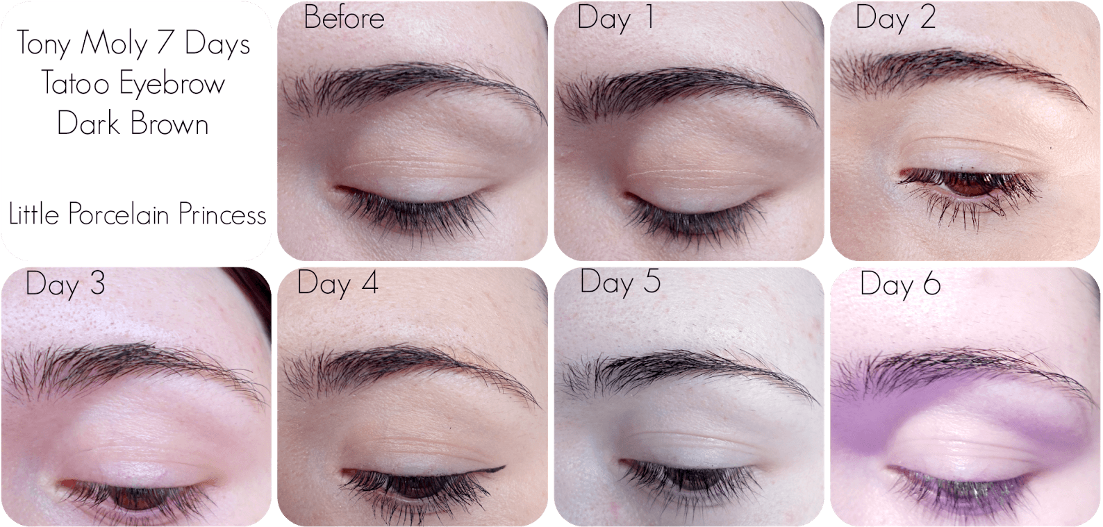 Clip Art Eyebrow Tattoo Images - Tony Moly Eyebrow Tattoo, HD Png Download - Transparent PNG Free Download | PNGio