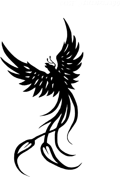 Phoenix Tattoo Up Clip Arts - Phoenix Tattoo Tribal, HD Png Download - Transparent PNG Free Download | PNGio