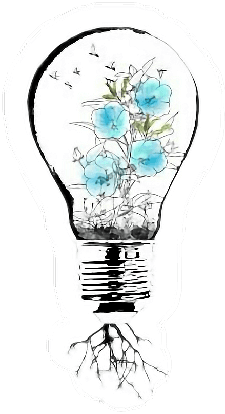 #shawnmendes #shawnmendestattoo #tattoo #lightbulb - Shawn Mendes Tattoo Png, Transparent - Transparent PNG Free Download | PNGio