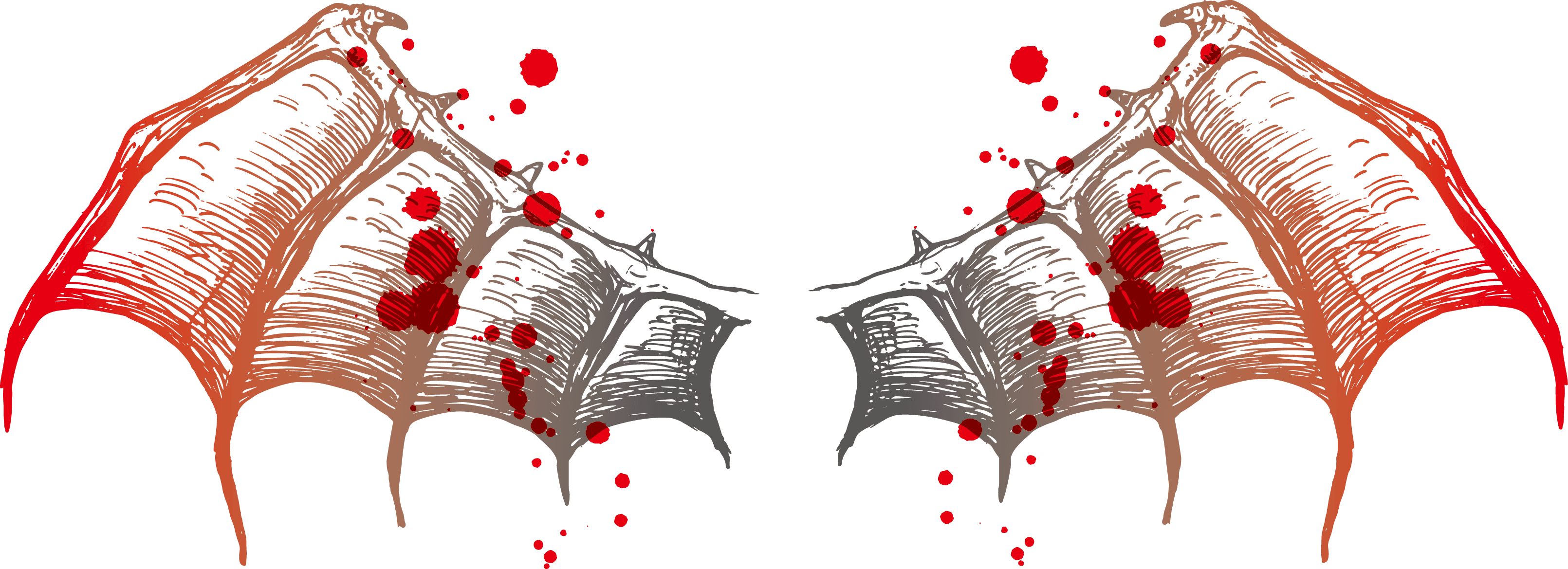 Bat Wing Euclidean Vector - Simple Wings Tattoo Design, HD Png Download - Transparent PNG Free Download | PNGio