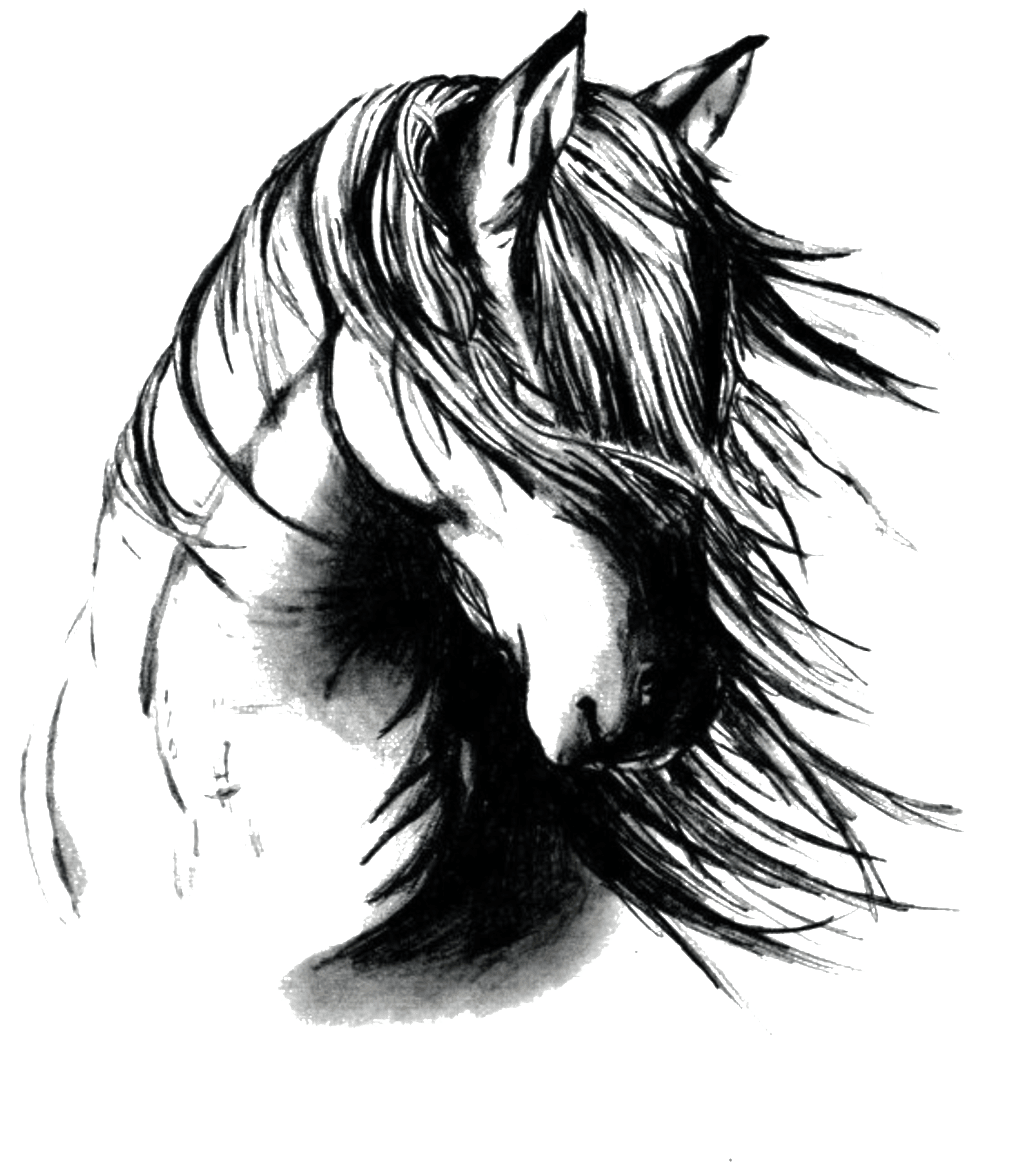 Hand Drawn Horse Head Element Pattern - Black And White Horse Tattoos, HD Png Download - Transparent PNG Free Download | PNGio