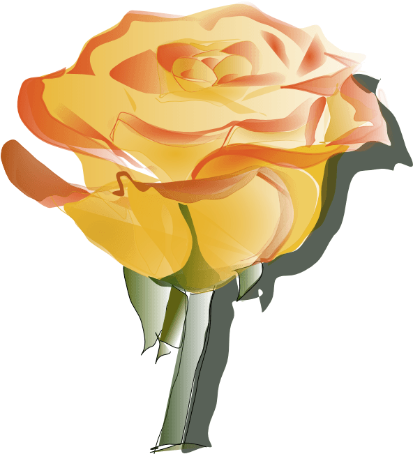 Peach Flower Clipart Sparkle - Yellow Flowers Tattoo Line Art, HD Png Download - Transparent PNG Free Download | PNGio