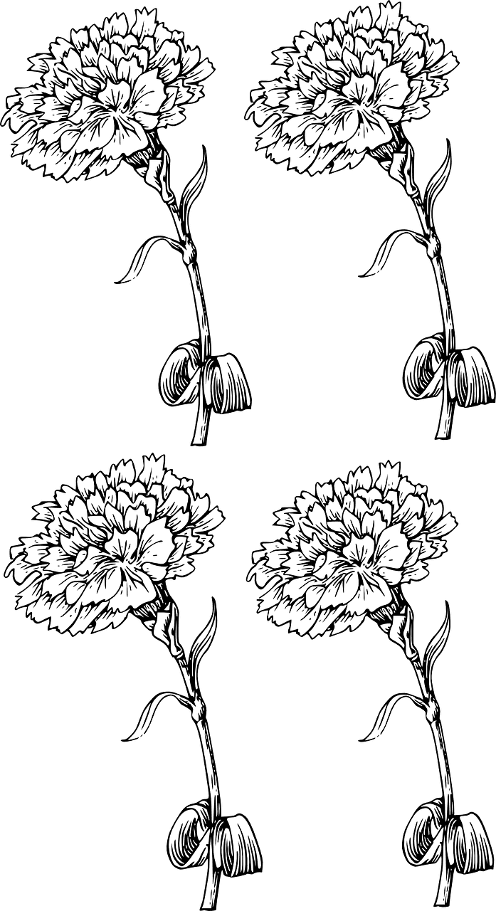 Carnation Tattoo Designs, HD Png Download - Transparent PNG Free Download | PNGio