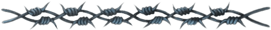 #barbedwire #barbwire #spikes #ouch #goth #divider - Barb Wire Realistic Tattoo, HD Png Download - Transparent PNG Free Download | PNGio