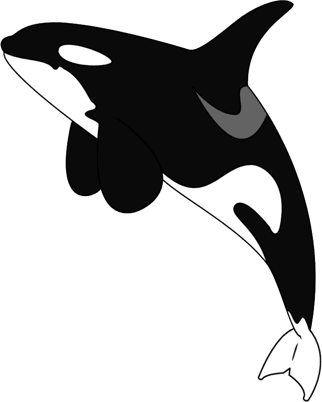 Killer Whale Png - Orca Tattoo, Transparent - Transparent PNG Free Download | PNGio