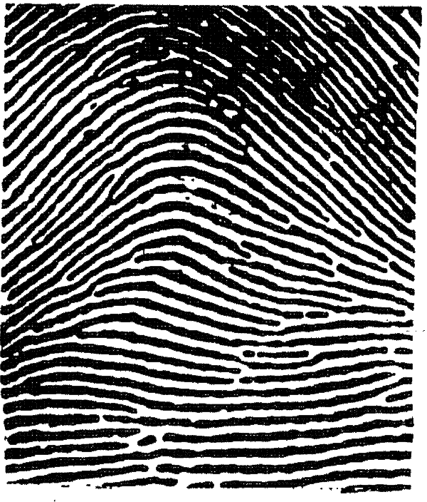 This Image Used For Decorative Purposes Only - Broken Heart Fingerprint Tattoo, HD Png Download - Transparent PNG Free Download | PNGio