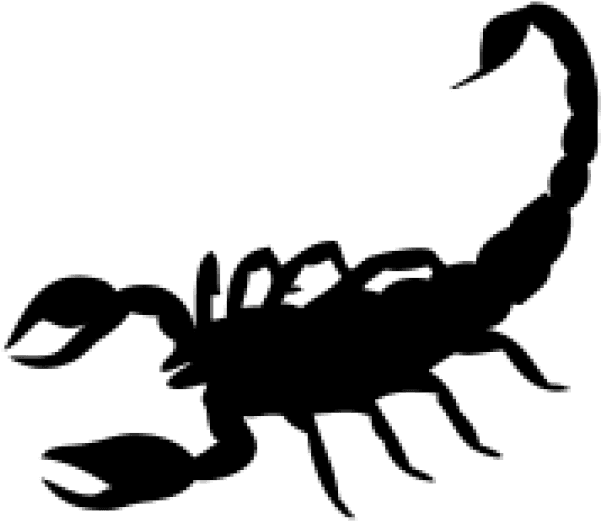 Scorpion Png Free Download - Solid Black Scorpion Tattoo, Transparent - Transparent PNG Free Download | PNGio
