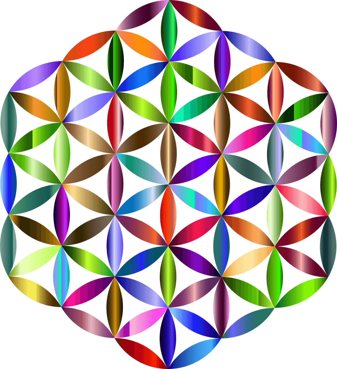 Flower Of Life Sacred Geometry Free Picture - David Hale Geometric Tattoos, HD Png Download - Transparent PNG Free Download | PNGio