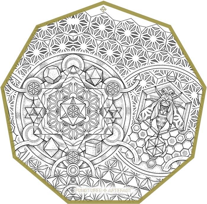 Circle, HD Png Download - Transparent PNG Free Download | PNGio