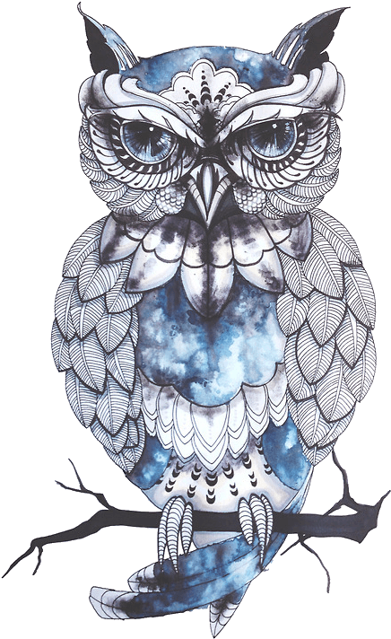 Tumblr N4yiz5deny1ts0inmo1 - Transparent Transparent Background Magic, HD Png Download - Transparent PNG Free Download | PNGio