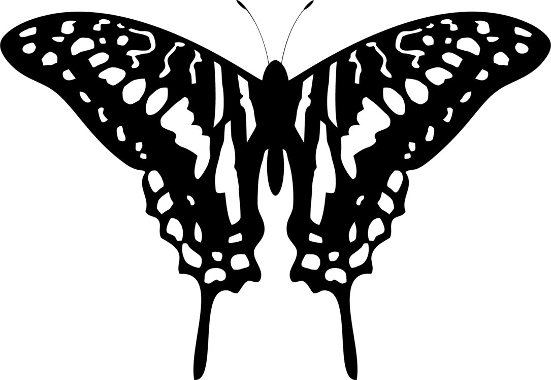 Butterfly Tattoo Designs Png Transparent Images - Word How Do You Get Rid Round, Png Download - Transparent PNG Free Download | PNGio