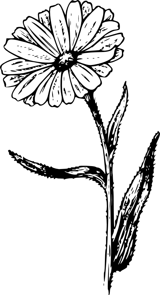 Black And White Clipart Flower Tattoo, HD Png Download - Transparent PNG Free Download | PNGio