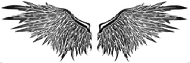 Tribal Tattoos Png, Transparent - Transparent PNG Free Download | PNGio