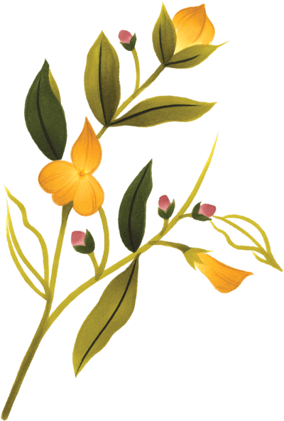 Eye Tattoo Png, Transparent - Transparent PNG Free Download | PNGio