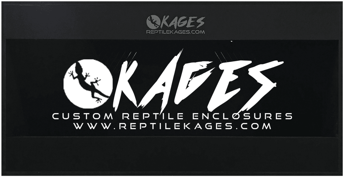 Gecko Tattoo, HD Png Download - Transparent PNG Free Download | PNGio